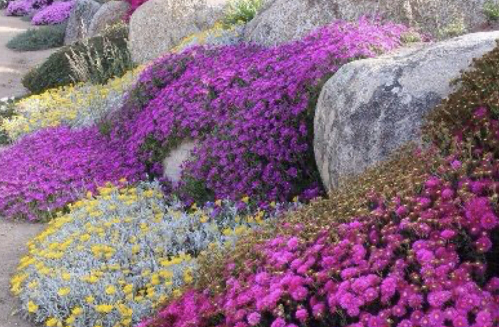 Healing Trauma Bonds: Unlocking Our True God-Given Purpose and Prosperity