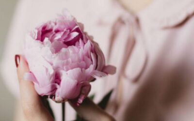 Embracing Femininity and Purpose:Navigating Patriarchy in the Workplace