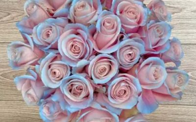 Embracing Life’s Purpose: Honoring the Legacy of a Beloved Grandmother